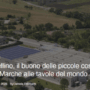 castellino_articolo Alphabetcity